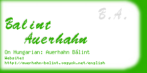 balint auerhahn business card